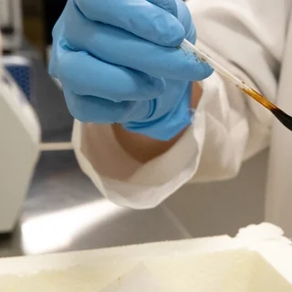 Laboratory research, illustrative photo