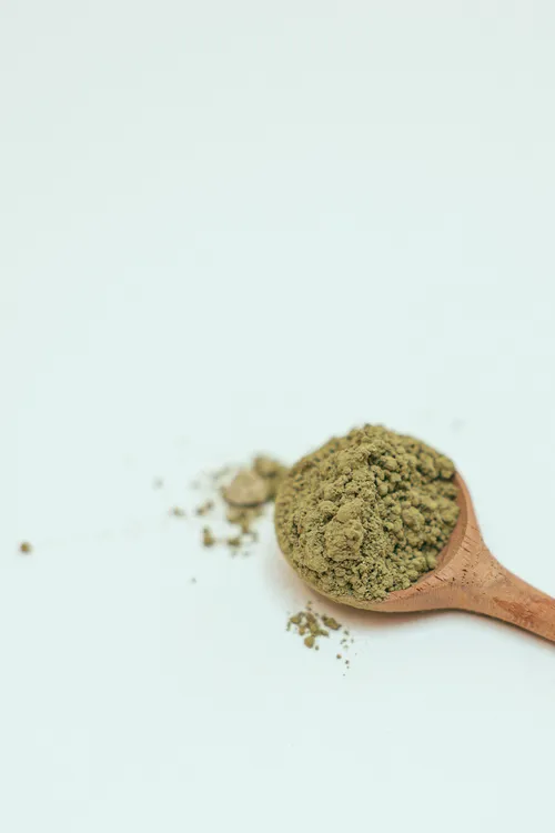 Green tea leaves