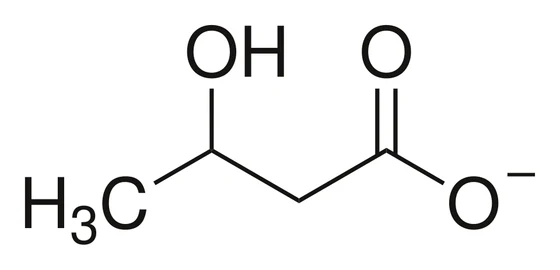 Chemical structure of the beta-hydroxybutyrate ion, the active molecule in Sugar Pure Balance
